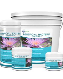 Aquascape Dry Beneficial Bacteria