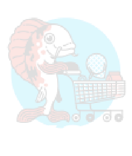 Everything Koi